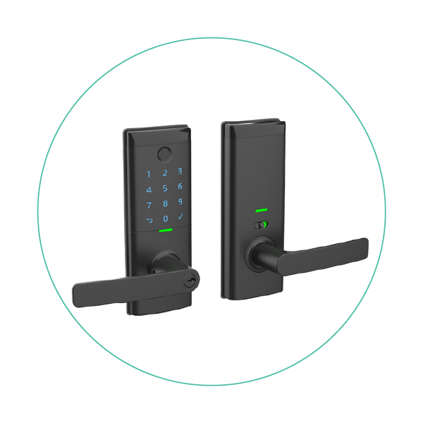 Smart Entrance Lock