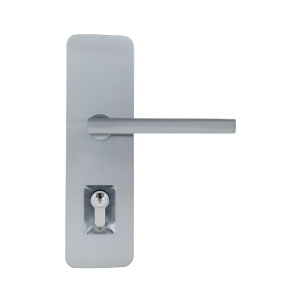 Lianna in Satin Chrome